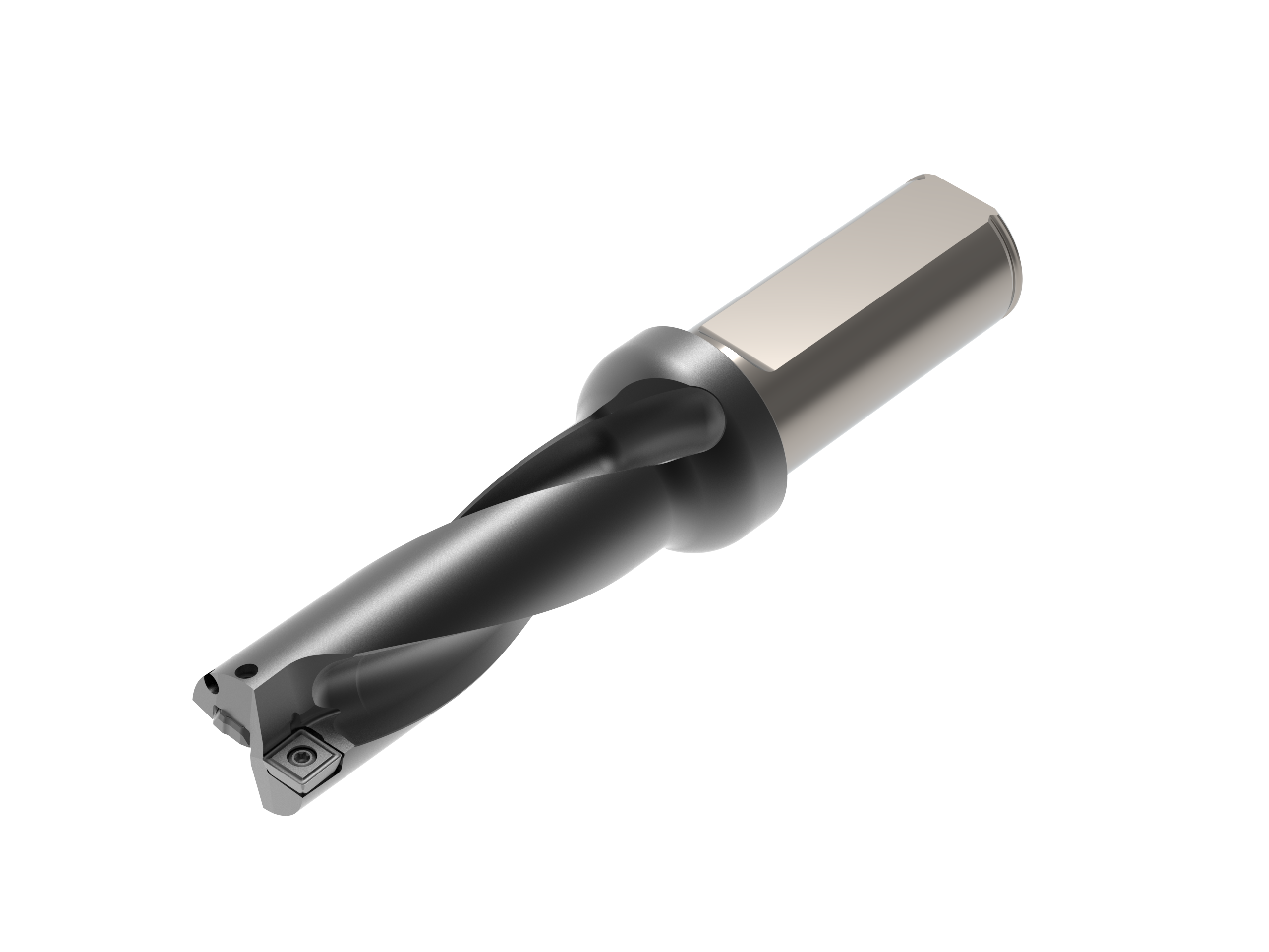 HY-3D440-S40-SP08