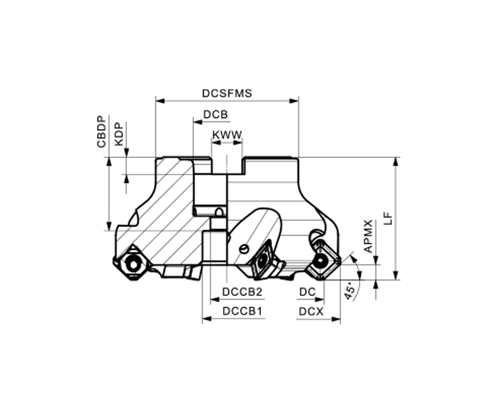 AFM45-125-Z08-A40R-SE12-C-S
